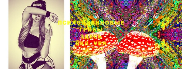 apvp Аркадак